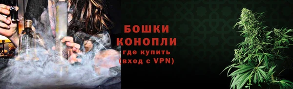 гашик Гусь-Хрустальный