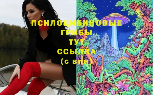 скорость Дмитриев