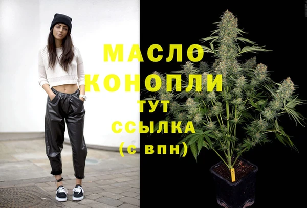 гашик Гусь-Хрустальный
