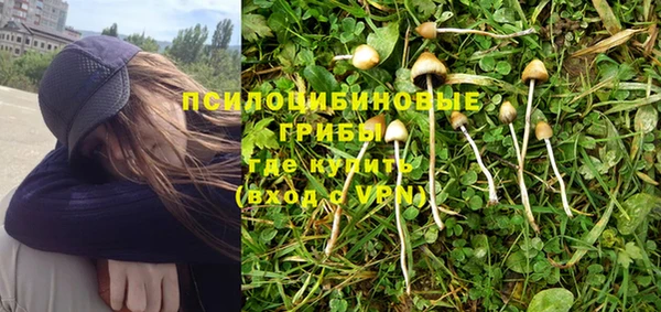 скорость Дмитриев